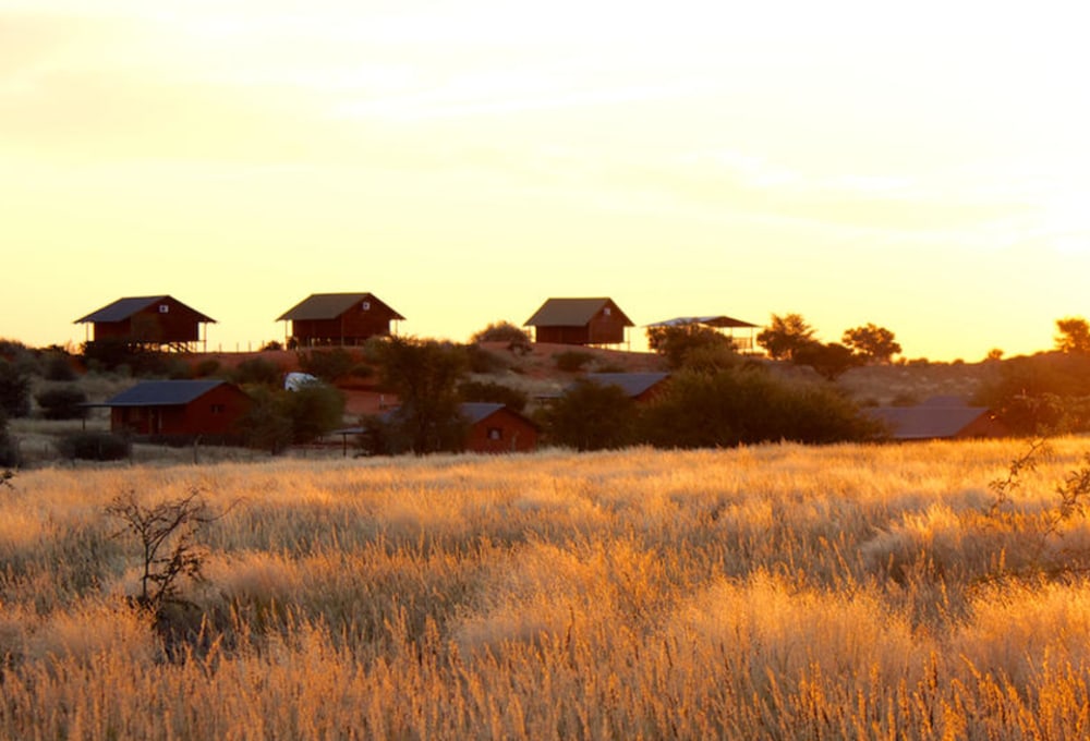 Bagatelle Kalahari Game Ranch Lodge